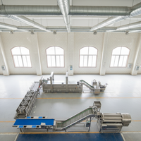 YaZhong Nieuwe Volledig Automatische Elektrische Fritesproductielijn RVS Commerciële Fruit- en Groentefriteuse Snackfabriek