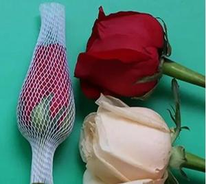 Manufacturer Direct Sales Durable Plastic <strong>Net</strong> Sheet Roll for Rose Bud Mesh <strong>Glass</strong> Bottle <strong>Protective</strong> <strong>Net</strong> - Product Image 4