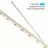 Thermomètre liquide rouge au mercure, haute précision, haute température, 0-100, 0-200 degrés, mesure de la température industrielle