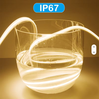 Bande LED flexible FPC Cob 220V 10mm 10W/M, étanche IP65, blanc chaud, CRI 90, contrôle tactile, USB, éclairage intérieur