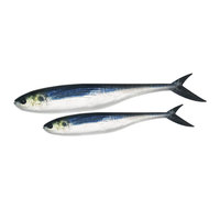 NOUVEAU Leurre Bionique Souple Imprimé 3D OEM en PVC pour Toutes les Eaux, 12cm 16cm, Leurre de Pêche en Eau Salée à Queue Fourche pour Thon et Marlin