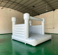 Château gonflable et toboggan Combo Party pour jardin, en PVC écologique, avec garantie de 3 ans