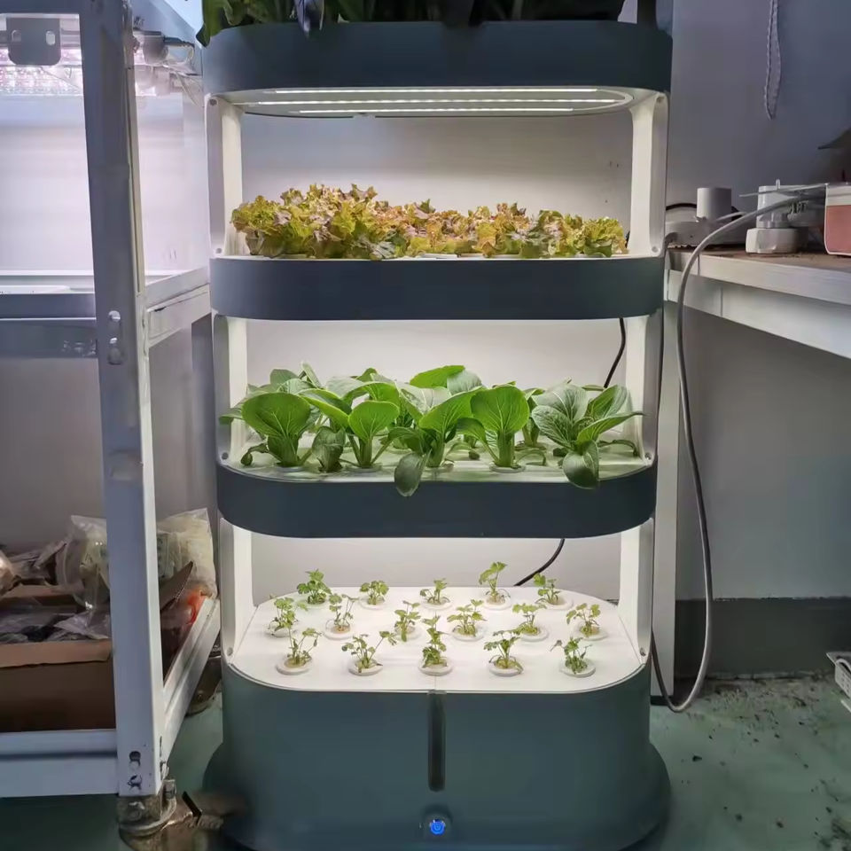 Indoor Hydroponic System - Grow Vegetables Efficiently