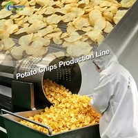 Shepody 100kg/u 500kg/u Industriële continue productielijn voor aardappelchips, volautomatische apparatuur voor het verwerken van gefrituurde chips