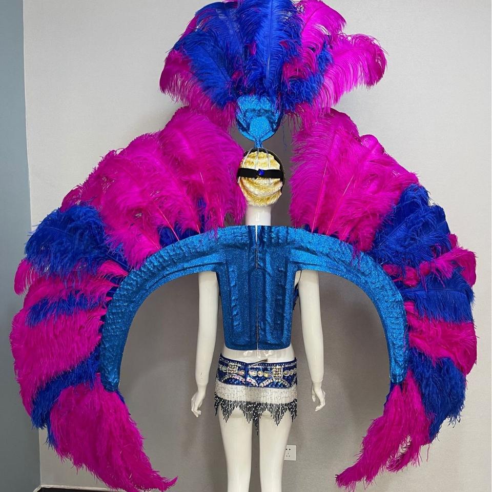 Brazilian Samba Carnival Carnival Feathered Wings Music Festival Dancer ...