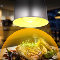 250W double tension laiton verre alimentaire lampe chauffante Buffet Station Commercial infrarouge réchauffeur poulet rôti canard pain poulet frit