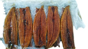 Ikan Belut Beku Grosir Kabayaki Unagi Panggang untuk Sushi atau Masakan Jepang