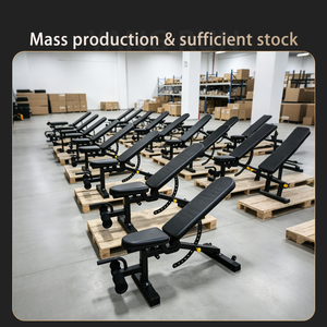 Banc de musculation professionnel réglable avec fonction preacher curl et développateur de jambes pour l'entraînement complet du corps et le fitness - Product Image 2