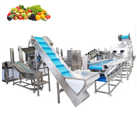 Complete automatische fruit- en groenteverwerkingslijn voor diepvries aardbeien, bosbessen, frambozen met wassen, sorteren en IQF