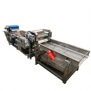 Équipement <span class=keywords><strong>de</strong></span> nettoyage pour citrouilles et autres fruits et légumes en acier inoxydable 304 - Product Image 4
