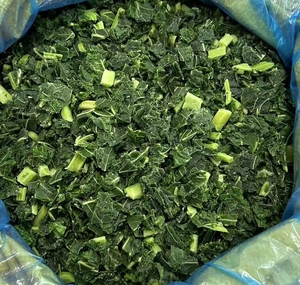 Lechuga Verde <span class=keywords><strong>Congelada</strong></span> IQF, Vegetales de Hoja Verde Saludables para la Producción de Smoothies y Jugos, a Granel - Product Image 2