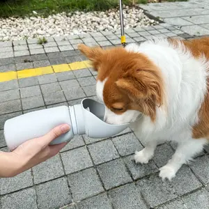 New Fashion Design Collapsible Pet Drink Food Grade Silicone Outdoor Dogs Walking Dog Water Bottle