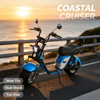 60V 2000W Rear Drive Electric Motorcycle Max Speed 60km/h Hydraulic Disc Brake Adult Electric Scooter