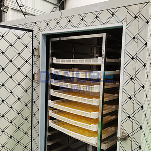 Nouvelle Ligne de Production pour le Nettoyage, la Découpe et le Séchage des Pommes de Terre, Chambre de Séchage à Pompe à Chaleur pour Tranches de Pommes de Terre - Product Image 4