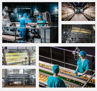 1000kg/uur Hoge Efficiëntie Aanpasbare Productielijn voor Groente- en Aardappelpoeder voor Voedingsleveranciers