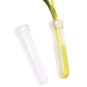 INUNION 9,5 cm Hoch transparente Blumen wasser fläschchen aus Kunststoff Blumen wasser rohr zum Auffrischen von dekorativen Pflanzen und Blumen - Product Image 4
