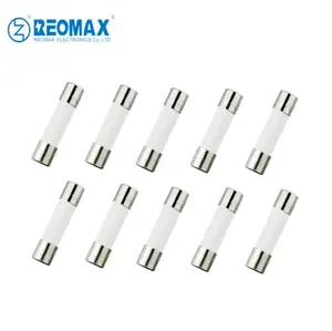 5x20 5.2*20mm Ceramic Fuse 250V 100mA 200mA 500mA 1A 2A 3A 4A 5A 6A 8A 10A 12A 15A 20A 25A 30A Micro Fuse With Axial Lead