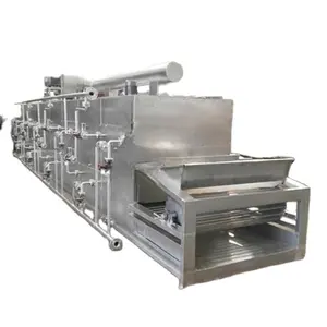 Competitive Price DW Series Industrial Instant Baby Food Flake Apple Peel Single Layer Mesh Beit Dryer
