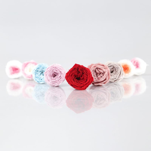 Boîte Cadeau de Fleurs Éternelles : Rose Immortelle, Rose Séchée, Têtes de Roses Artificielles et Fleurs Préservées - Product Image 6