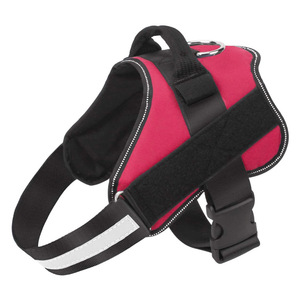 Harnais pour bouledogue français réglable sans étranglement, harnais pour chien personnalisé sans traction avec nom personnalisé - Product Image 2