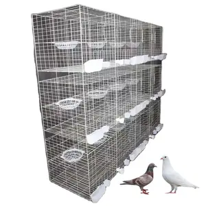 Hot Sale Pigeon Cage Breeding Cage Small Bird Cold Galvanized Cage From ailongye