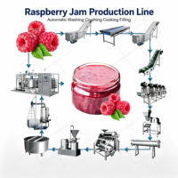ORME Industriële Jamproductielijn voor tomatenpuree, rode dadelpuree, perenpuree, mangopuree, ananaspuree, graanachtige jam, fruitpuree machines