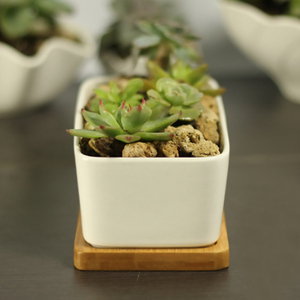 VENTE FLASH 2021 - <span class=keywords><strong>Pot</strong></span> de fleurs en céramique blanche <span class=keywords><strong>rectangulaire</strong></span> minimaliste, géométrique, simple et créatif, avec plateau en <span class=keywords><strong>bambou</strong></span>, pour plantes succulentes, décoration d'intérieur - Product Image 4