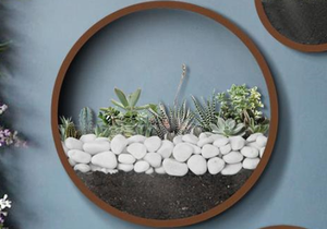 Chậu Hoa Hình Tròn Hoặc Hình Vuông Ngoài Trời - Product Image 6