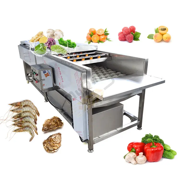 In India Strawberry Beet Apple Tilting Wild Vegetable Washer Tea Leaf Ultrasonic Clean Wash Machine