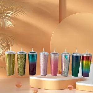 Double Layer Insert Transparent Acrylic PS Gradient Cup 24oz Portable Plastic Tumbler With Straw