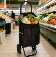 Chariot de courses pliable et portable pour monter les escaliers, chariot de courses léger, sac de courses, parfait pour les courses au supermarché