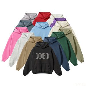 Sudadera con Capucha de Color Sólido, Estampada y Bordada, con Capucha, para Deportes y Uso Diario, Cantidad Mínima de Pedido Baja - Product Image 1