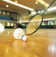 Raquette de badminton en acier haute rigidité pour adolescents et adultes, faible tension des cordes, jeu quotidien en salle avec poignée en PU