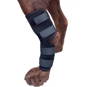 Pet Dog Supportive Canine Rear Leg Hock Joint Compression Wrap Recovery Protection Sprain Injury Prevention Ankle Dog Leg Brace