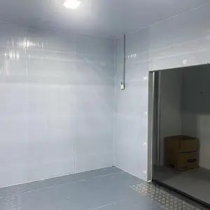 Chambre froide à énergie solaire directe d'usine mini chambre froide pour la conservation des légumes frais