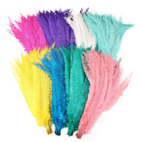 Offre Spéciale gros naturel autruche Nandu plumes pour vêtements décor Vase bricolage artisanat Floral chapeau chapellerie chapeaux accessoire