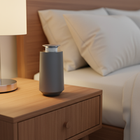 Diffuseur d'arômes électrique portable de luxe pour la maison et la voiture, rechargeable, pour huiles essentielles pures, à poser sur table