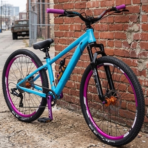 Fournisseur en gros de vélos de montagne 26/27,5/29 pouces, 21 vitesses, frein à disque, en alliage d'aluminium, pour la conduite en ville, vélo pour la remise en forme - Product Image 3