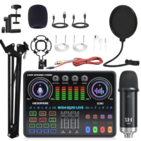 Microphone de studio à condensateur USB professionnel DJ20 Live BM800 WHX1000 avec suppression du bruit, cartes son doubles sans fil et mixeurs