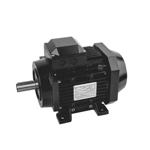 จีนผู้ผลิต TYTB-112M-2แรงบิดสูง3000Rpm ไฟฟ้าซิงโครนัสมอเตอร์แม่เหล็กถาวร