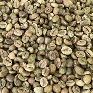 Maturity 95% Robusta Green Coffee <b>Bean</b> Size 16 100% Raw Coffee <b>Beans</b> Use in Industrial Coffee Roasting Jute <b>Bag</b> - Product Image 1