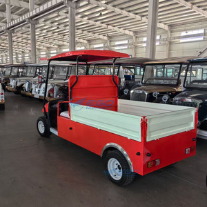 Carrito de Golf Eléctrico de 2 Plazas y 48V, Mini, Elevado, con Caja de Carga, para Caza y Club de Golf, Muy Popular - Product Image 5
