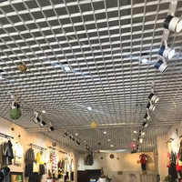 Panneau de plafond en grille d'aluminium à cellules ouvertes, grille ventilée ignifuge, classe de résistance au feu, grille métallique insonorisante pour centre commercial