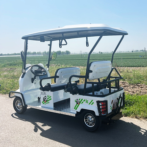 Panda Style 4 Seater CE approuvé Golf <span class=keywords><strong>Buggy</strong></span> véhicule électrique pour station de vacances - Product Image 5