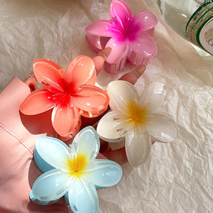 Pinces à cheveux en plastique PYC motif fleur hawaïenne 5x5x3cm pour femmes et filles, accessoires de mode décontractés, vente en gros - Product Image 1