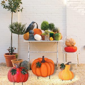 Meilleures ventes : Décoration de jardin et de pelouse en métal pour l'automne et Thanksgiving, avec motifs citrouille et dinde, pour patio et extérieur, Panneaux de jardin et de pelouse transfrontaliers - Product Image 4