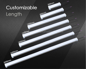 Luminaire LED Tri-proof IK10 résistant aux chocs 24V DC 20W, corps en aluminium anti-corrosion, étanche à la poussière IP65, 600mm, garantie 5 ans - Product Image 2