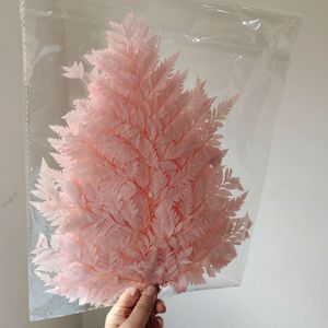 ดอกไม้แห้ง จัดดอกไม้ วัสดุตกแต่งแจกัน เฟิร์น เฟิร์นขาวอบแห้ง ใบไม้จริง เฟิร์นบอสตันแห้งพร้อมก้าน - Product Image 4