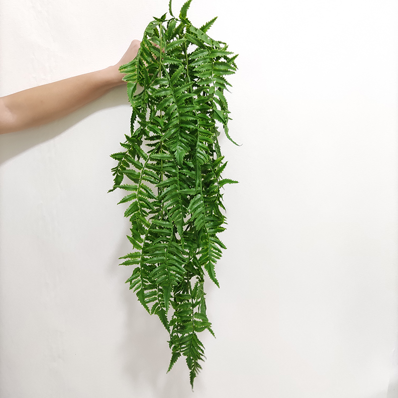 Vert OX80006