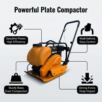 Compacteur à plaques asphaltiques autoporté TerraForce TF-C90 90 kg FPC90 Honda GX160 4KW 3600 tr/min, manuel, pour la réparation des chaussées